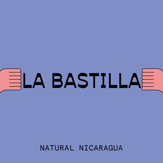 Nicaragua La Bastilla Natural