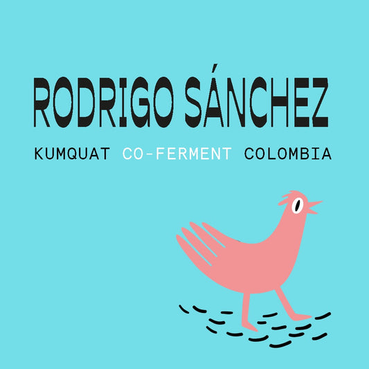 Rodrigo Sánchez Valencia Colombia Kumquat Co-Ferment