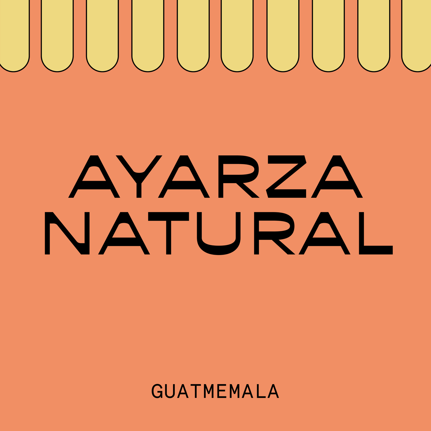 Guatemala Ayarza Natural