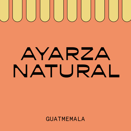 Guatemala Ayarza Natural