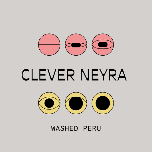 Peru Clever Neyra Chinini