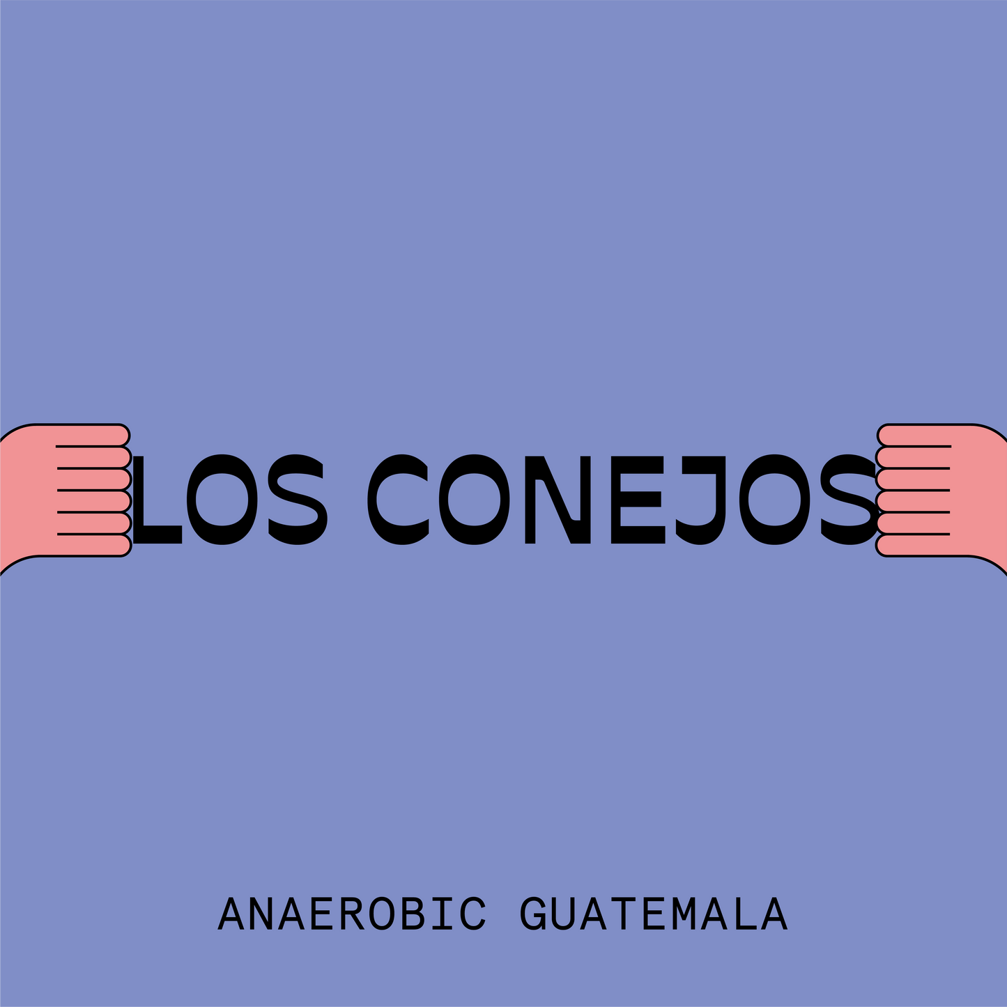 Guatemala Los Conejos Anaerobic Natural