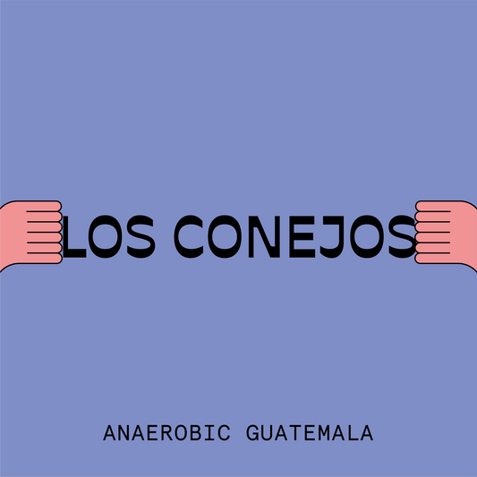 Guatemala Los Conejos Anaerobic Natural