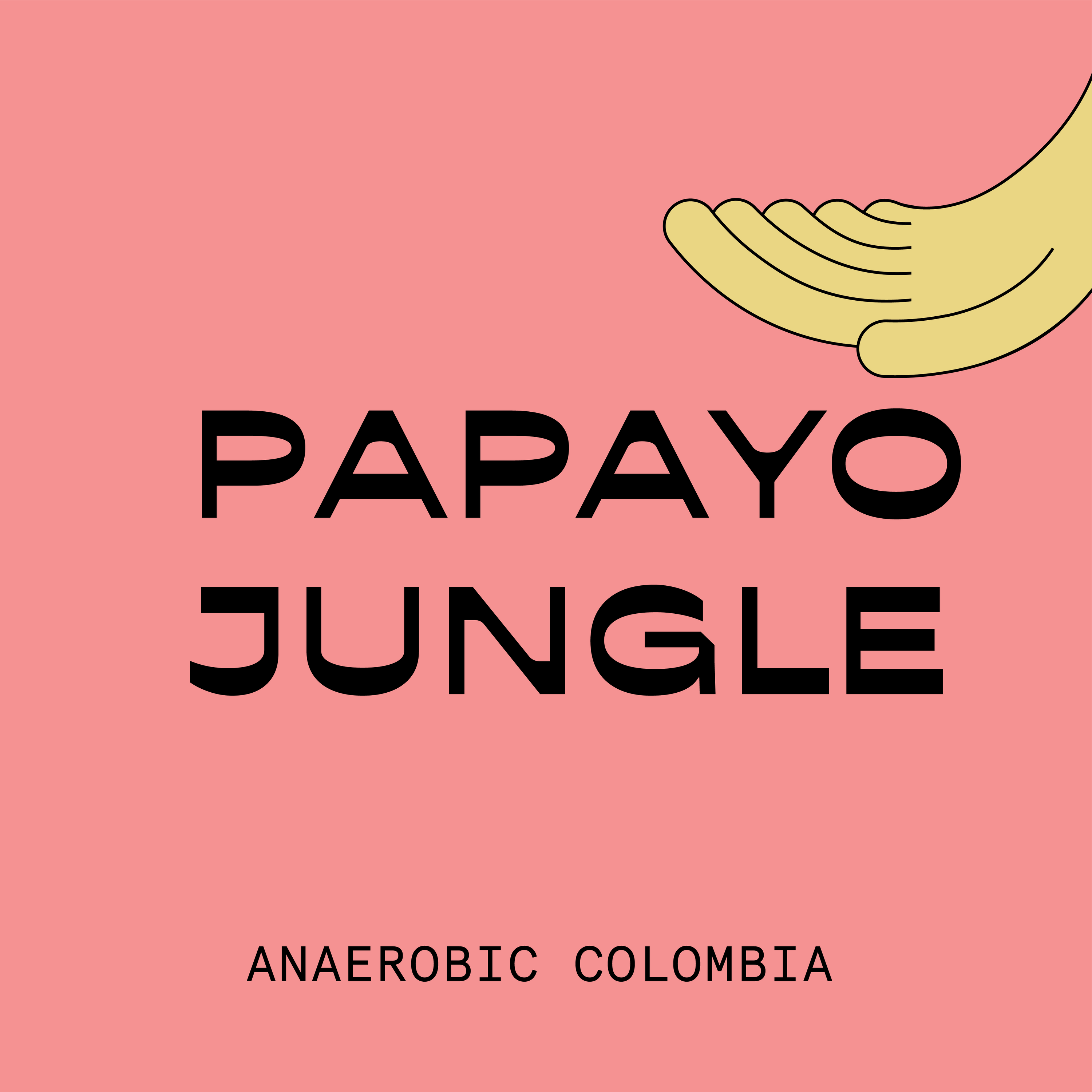 Papayo Jungle Anaerobic Colombia