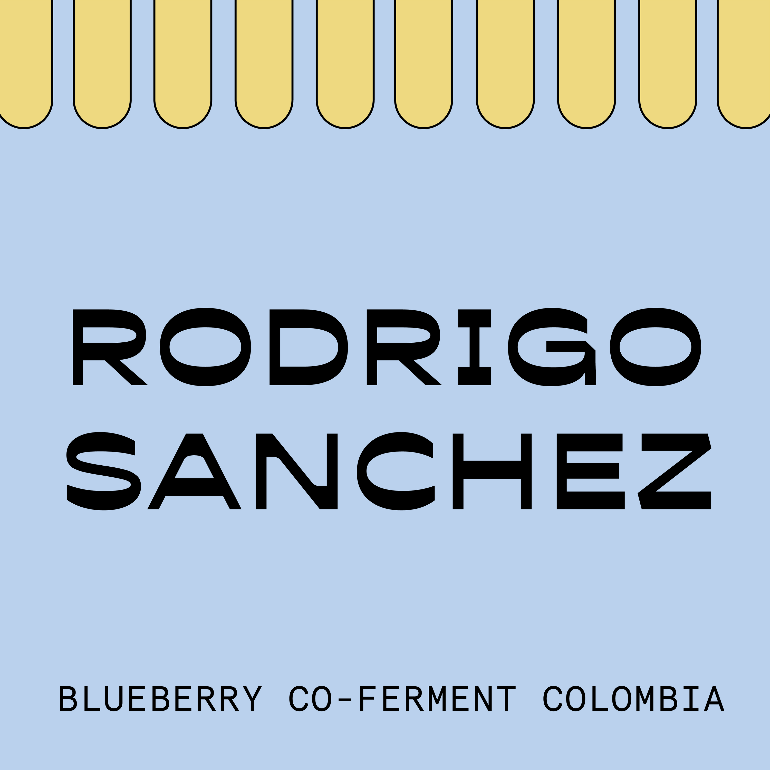 Rodrigo Sánchez Blueberry Co-Ferment Colombia