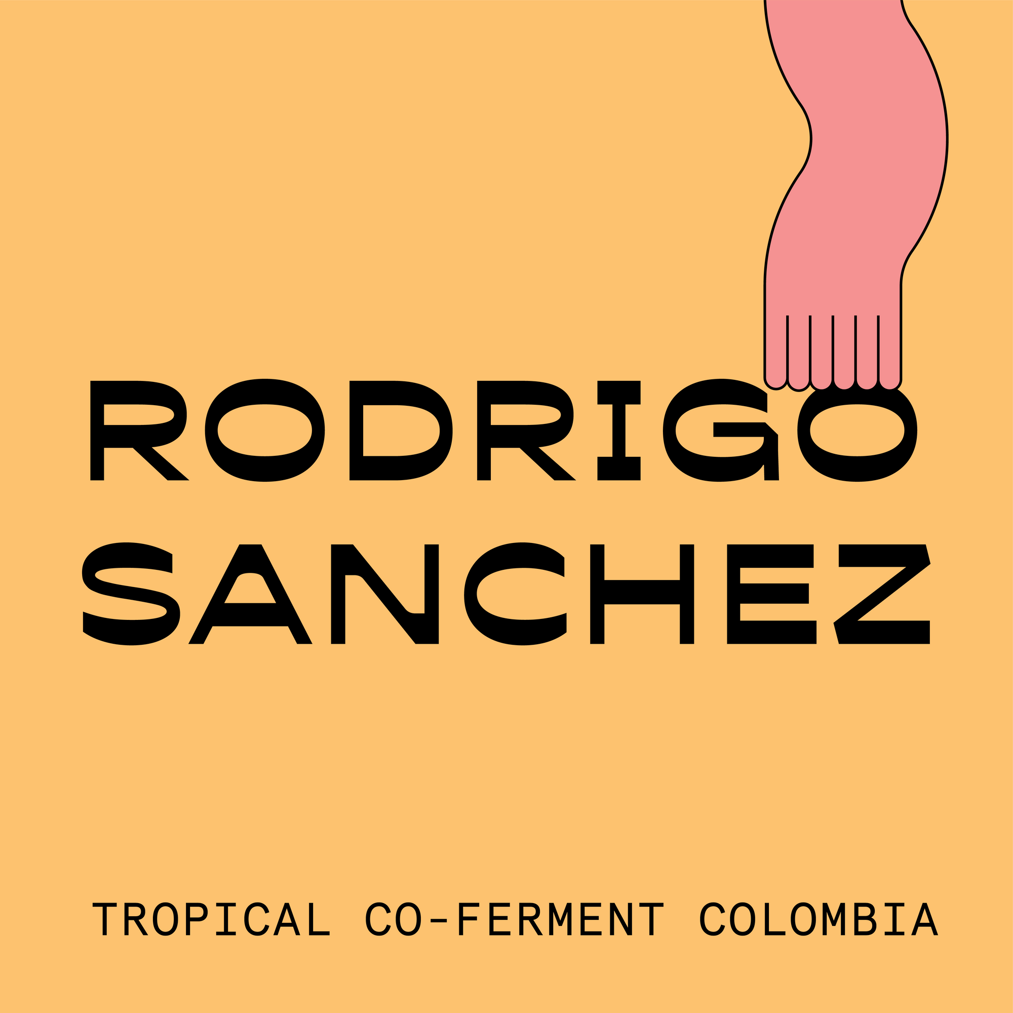 Rodrigo Sánchez Tropical Co-Ferment Colombia