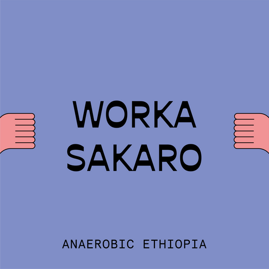 Ethiopia Worka Sakaro Anaerobic
