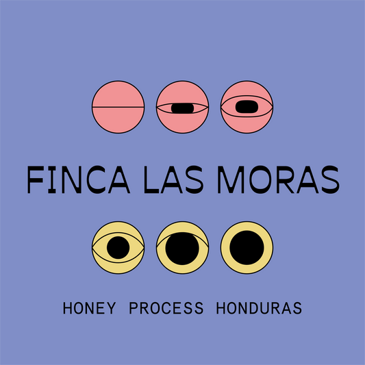 Honduras Finca Las Moras Parainema Honey Process